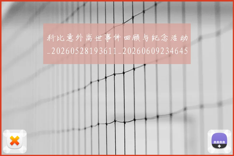 科比意外离世事件回顾与纪念活动_20260528193611_20260609234645